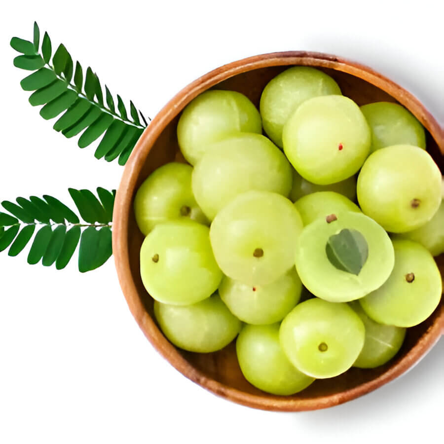 Amla fruit illustration