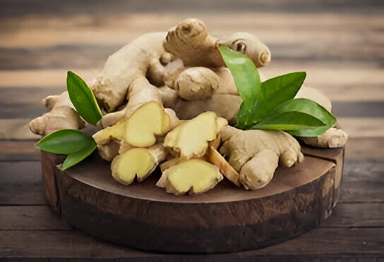 Ginger root illustration